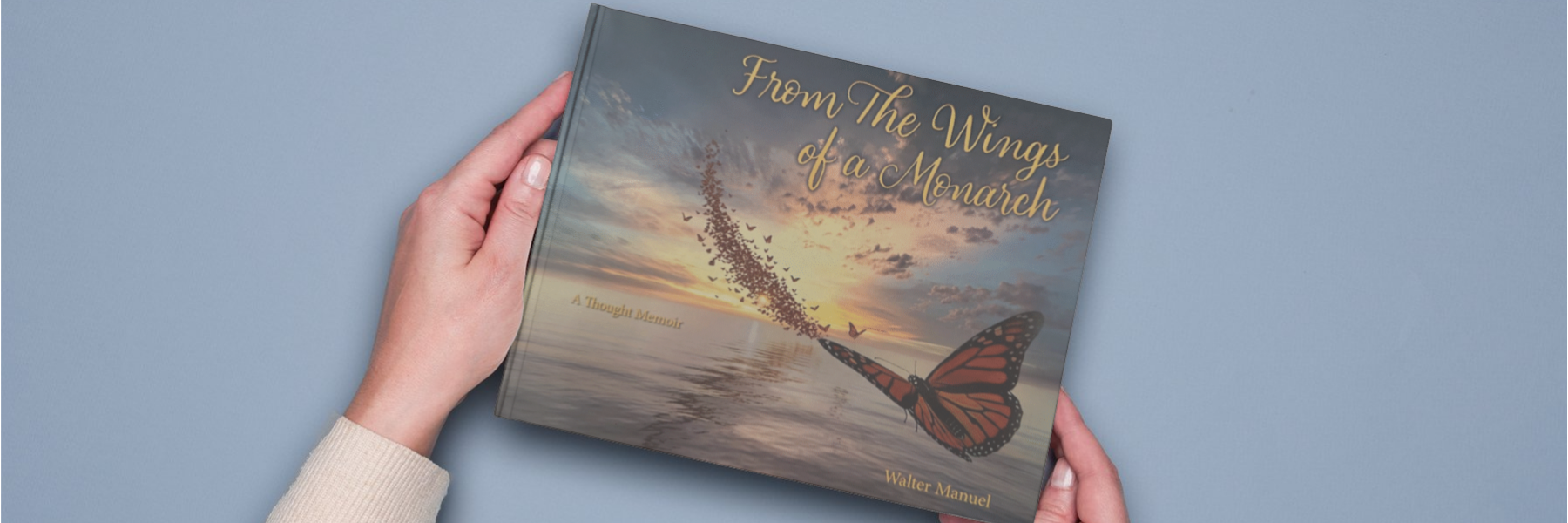 From The Wings of a Monarch
